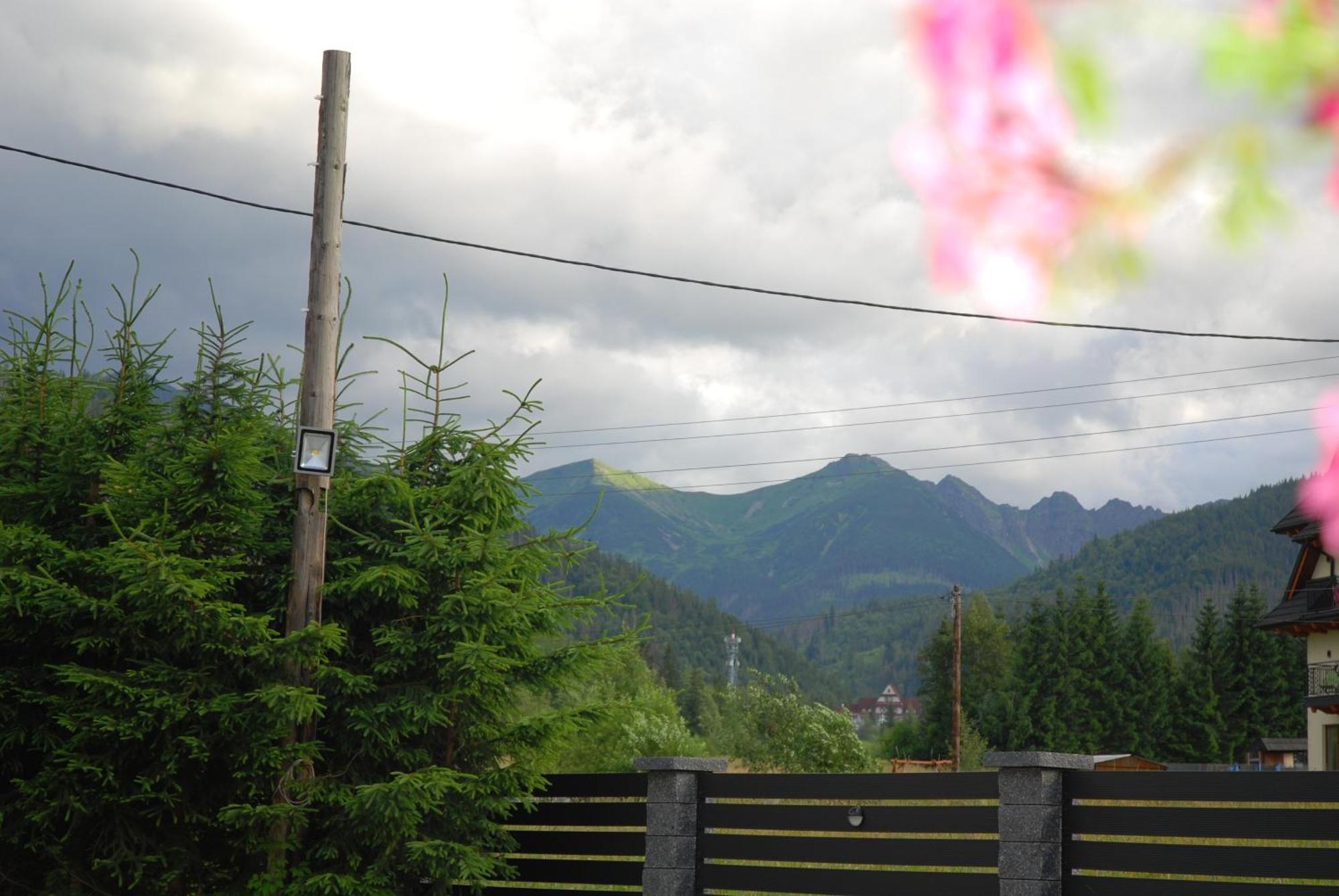 "Czarna Turnia "Zakopane Bed and Breakfast Exteriör bild
